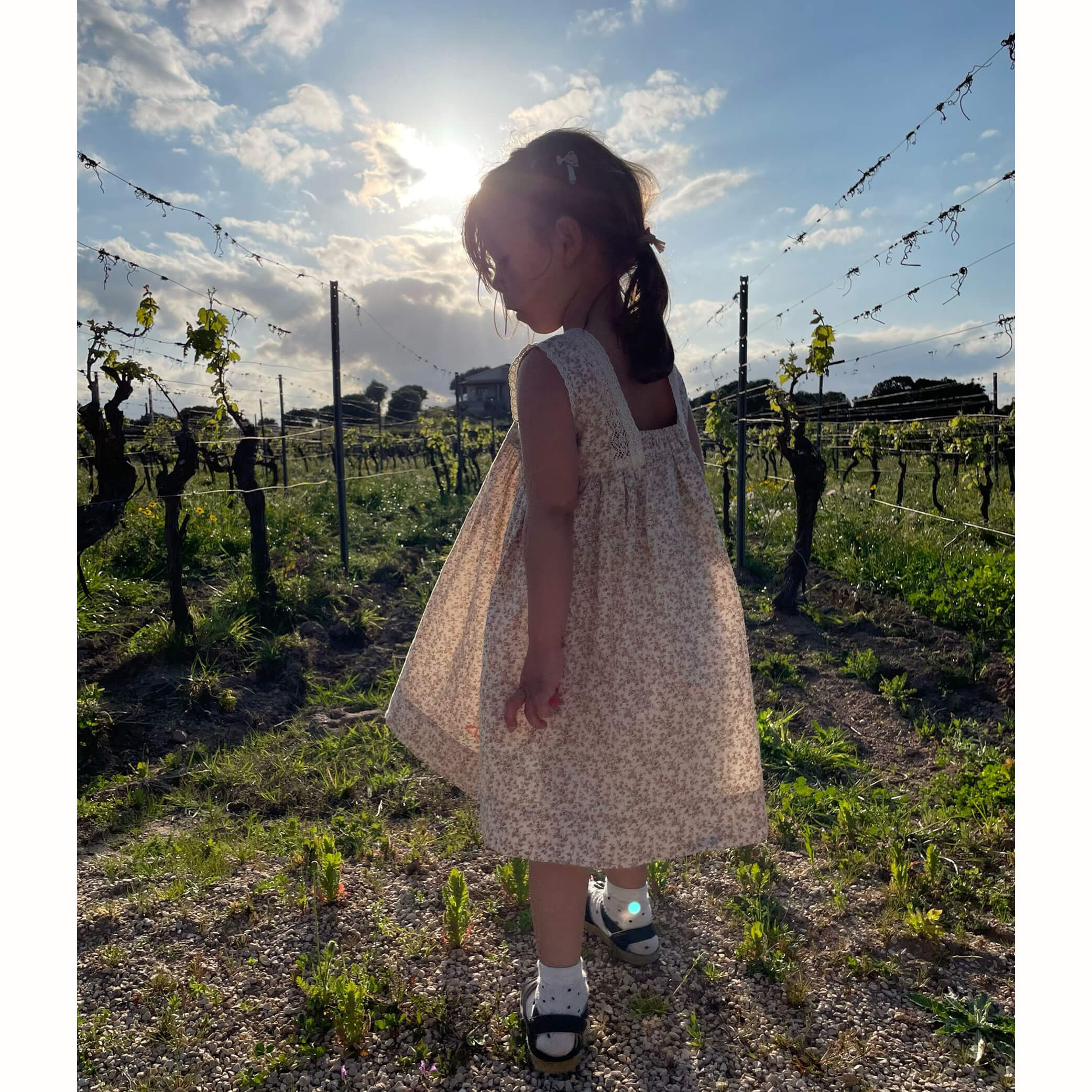 Anais Lace Trim Dress