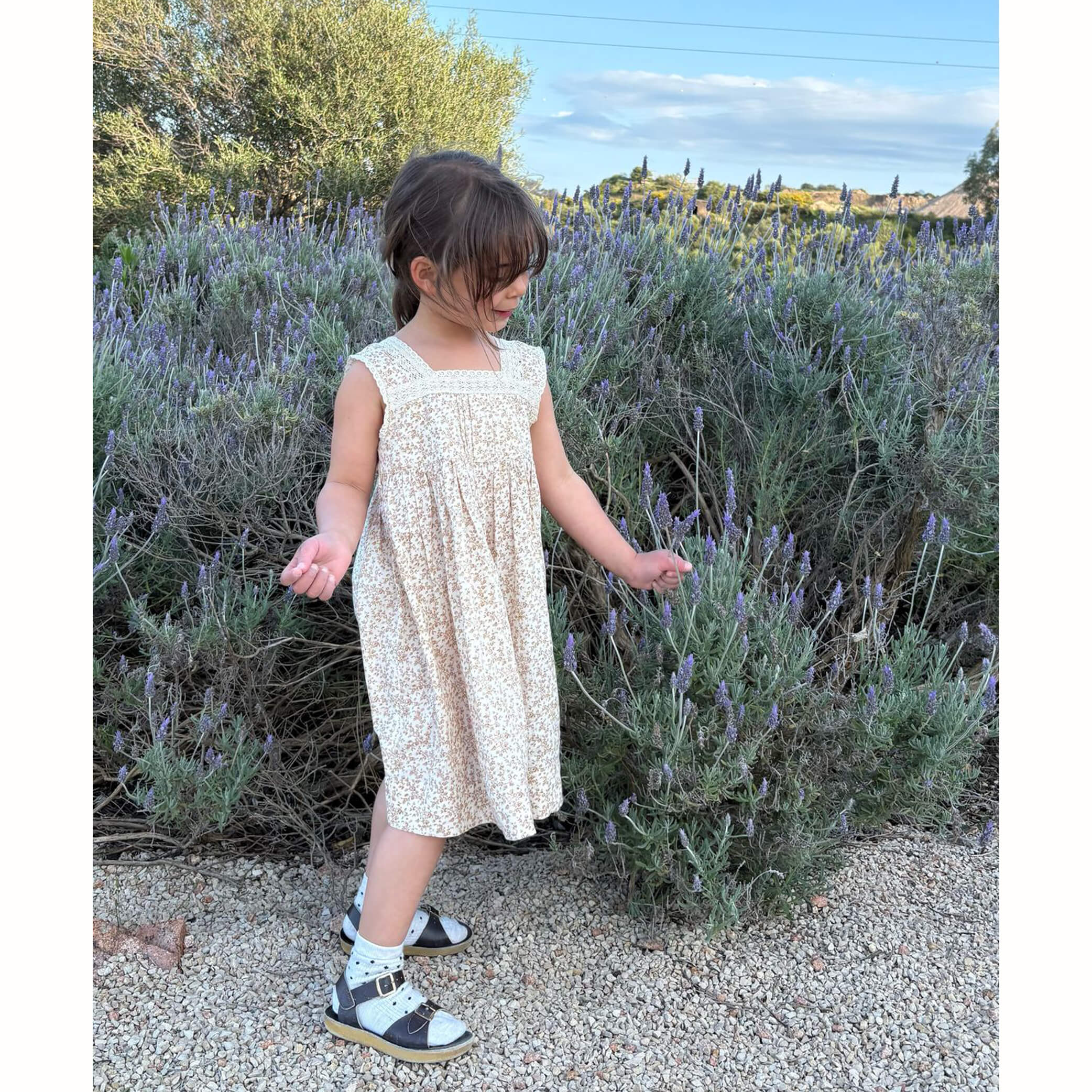 Anais Lace Trim Dress